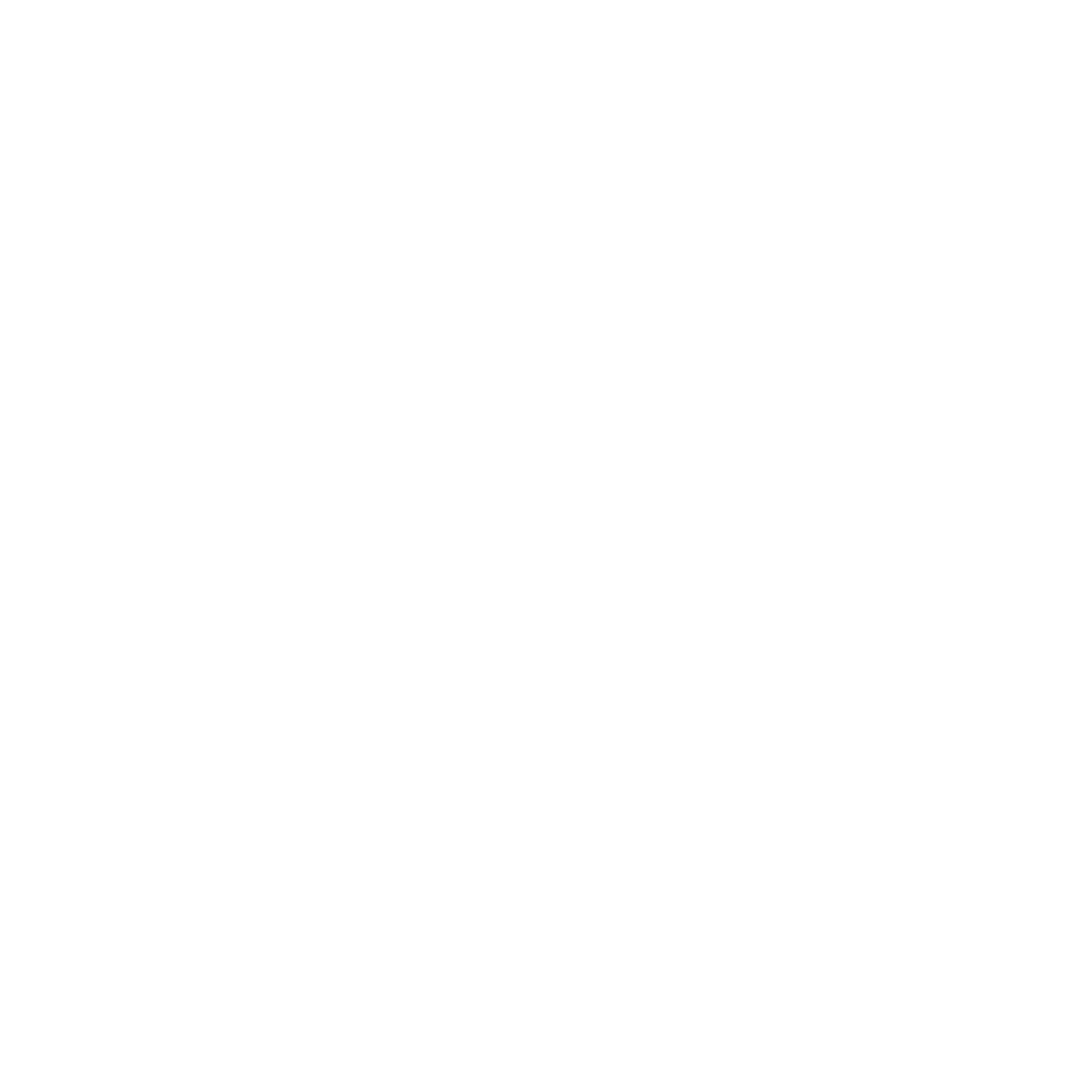 Checklist Icon