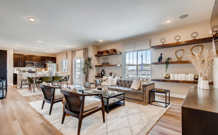 2175 villageview lane castle-large-004-003-living room-1500x998-72dpi