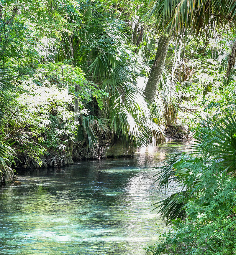 Buying a home in the Gainesville FL metro area