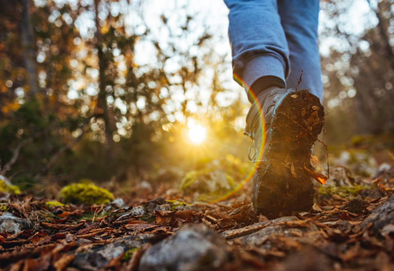 Nature walk
