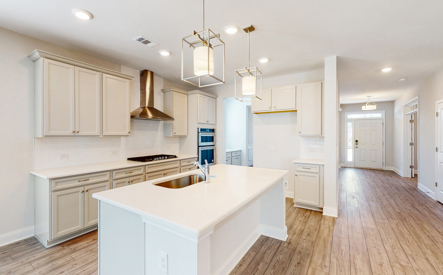 lily kitchen 1