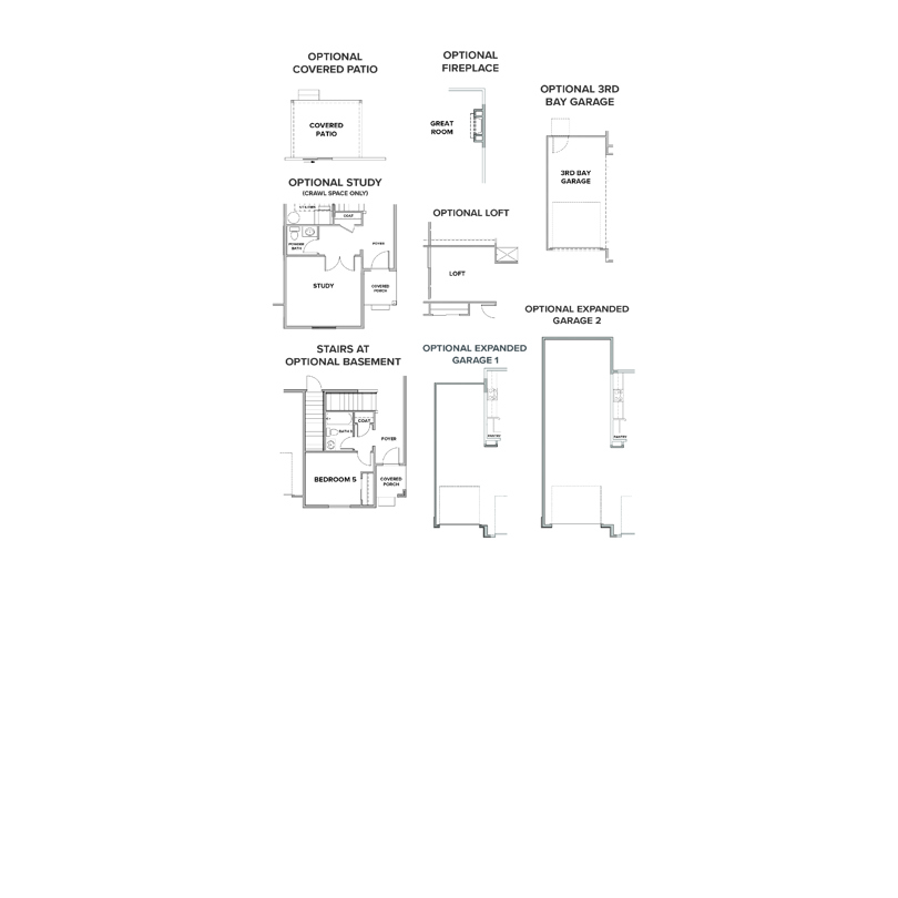 Options for the Silverthorne at Spring Valley Ranch in Elizabeth, CO
