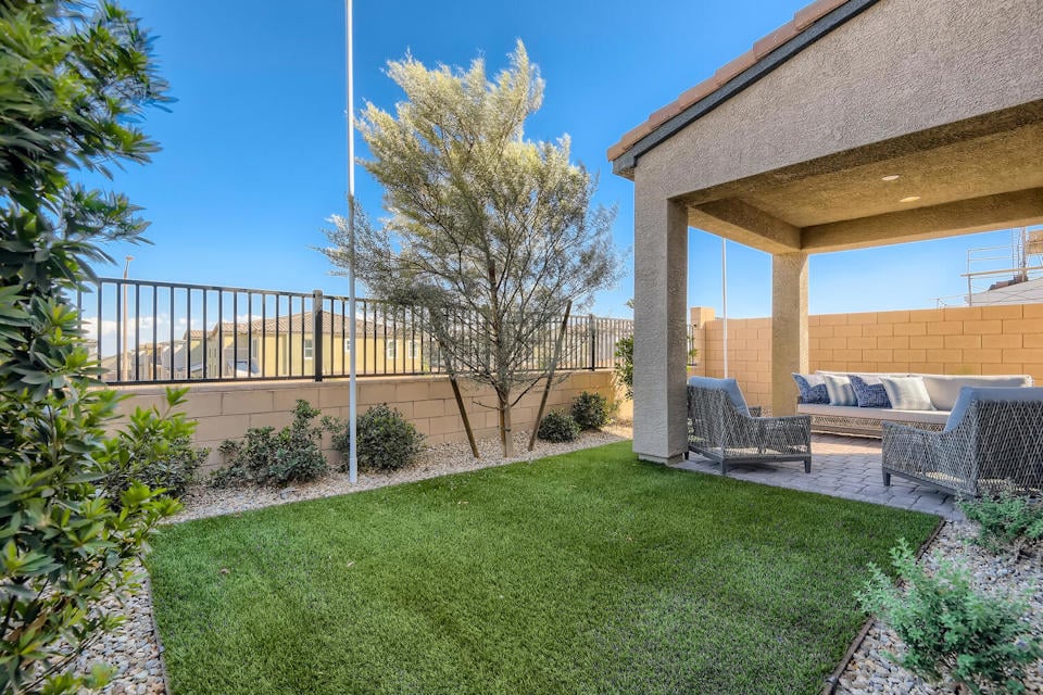 A backyard with a tree and a building.