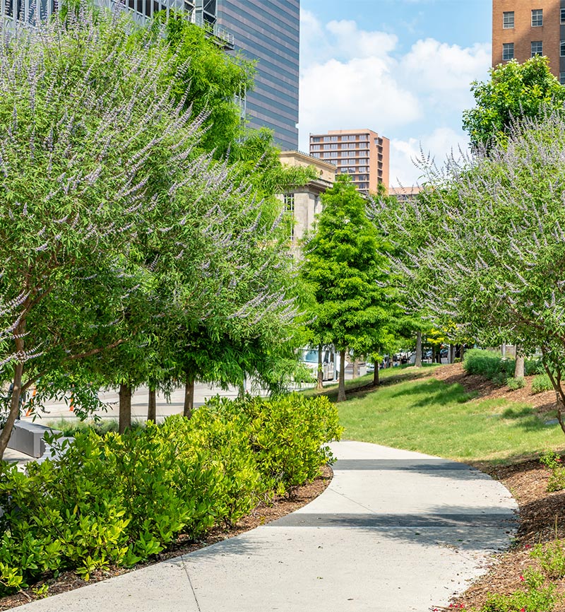 Houston Image