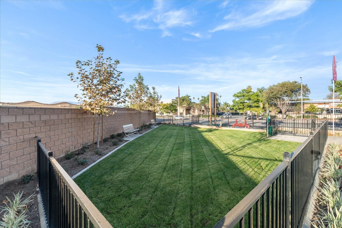Community Dog Park