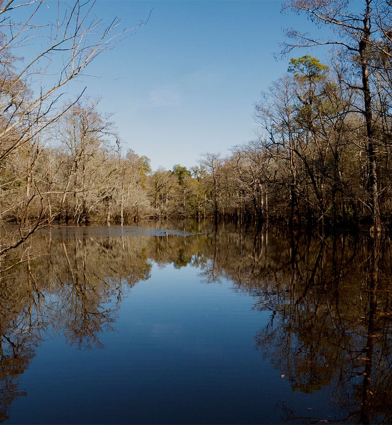 Buying a home in Florence, SC