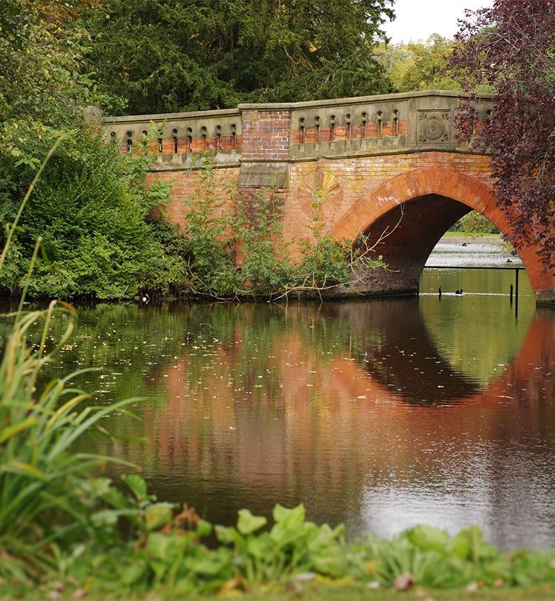 Birmingham AL metro skyline and outdoor scenery