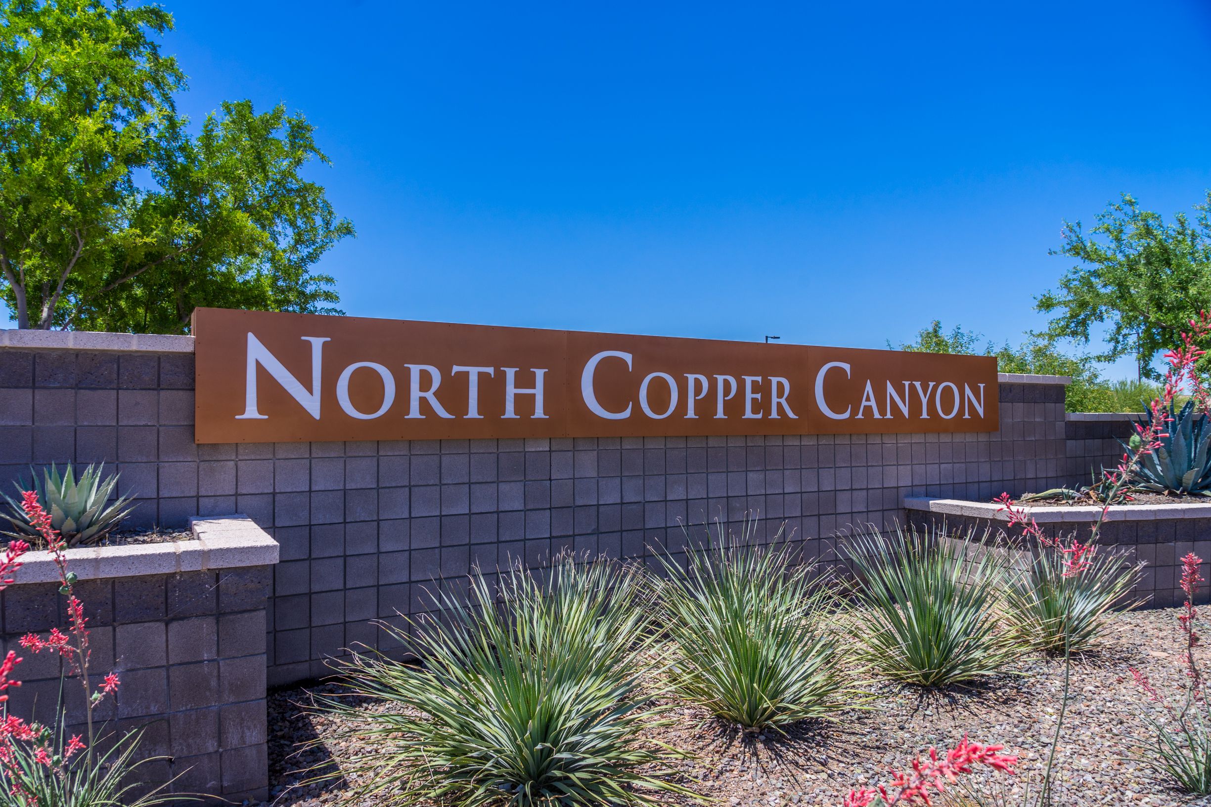 North Copper Canyon Surprise Az
