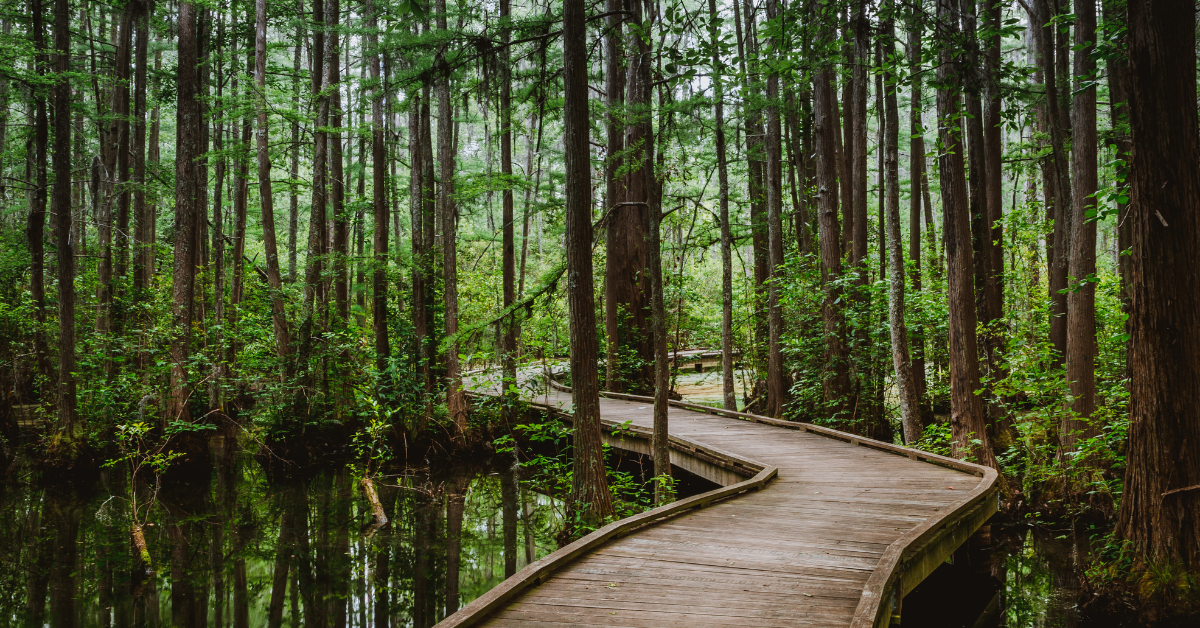 Woods Bay State Park