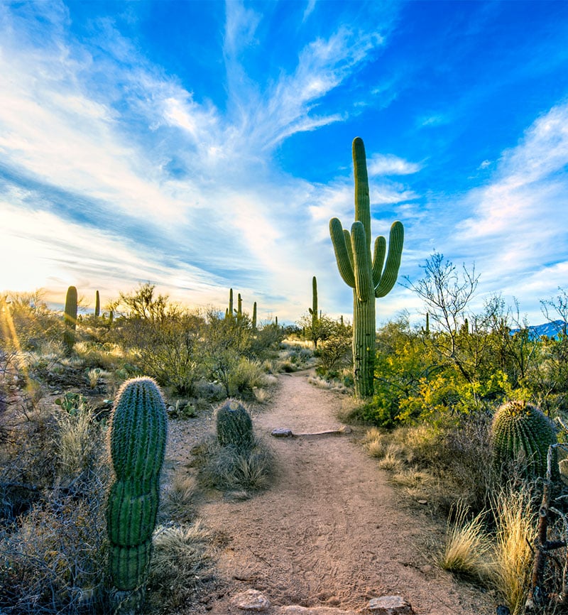 Buying a home in Tucson
