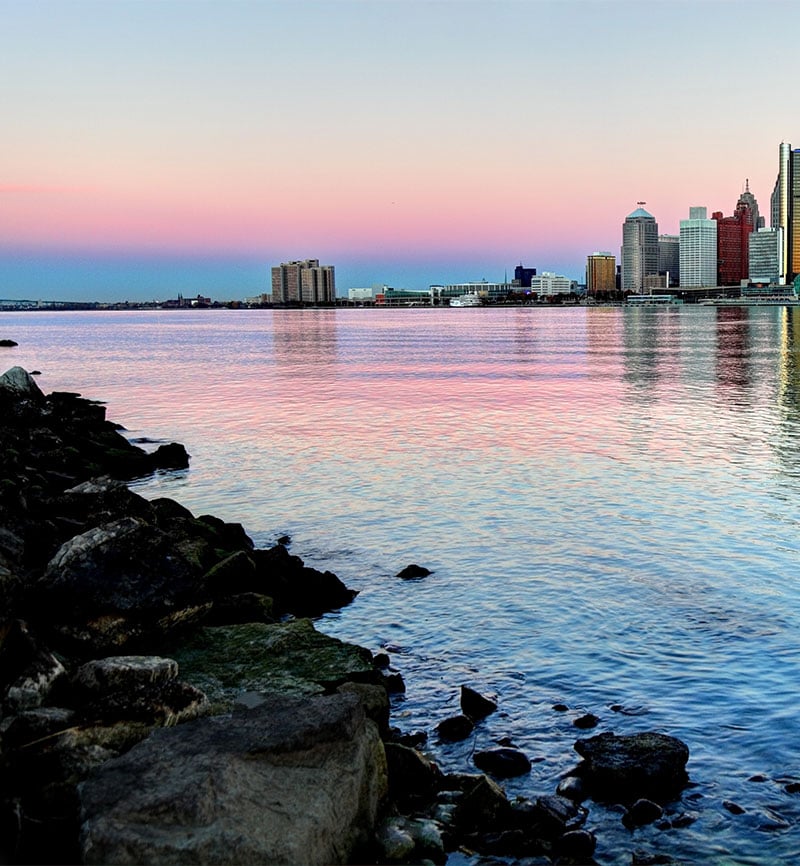 The Detroit metro area