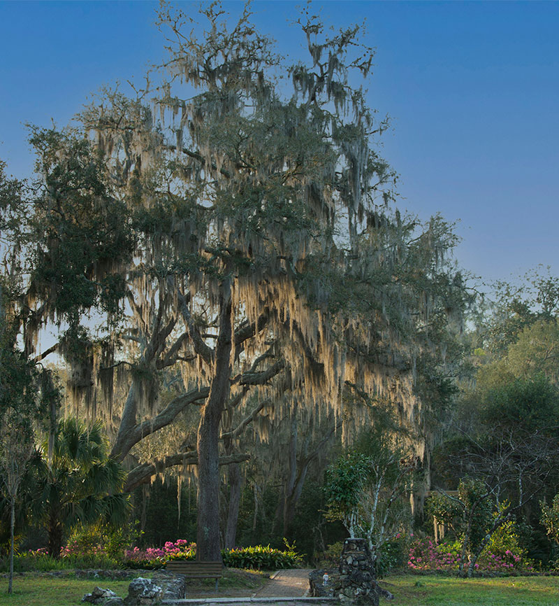 Buying a home in the Palatka FL metro