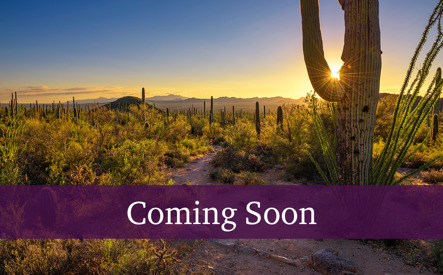 phx032220_comingsoon_v24