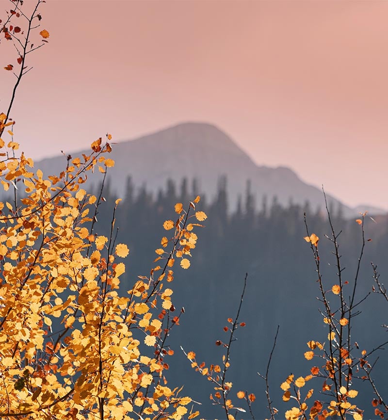 Northern Colorado outdoors