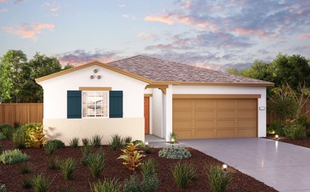 Bravado, Camellia Elevation A, Right Swing, Reedley, CA