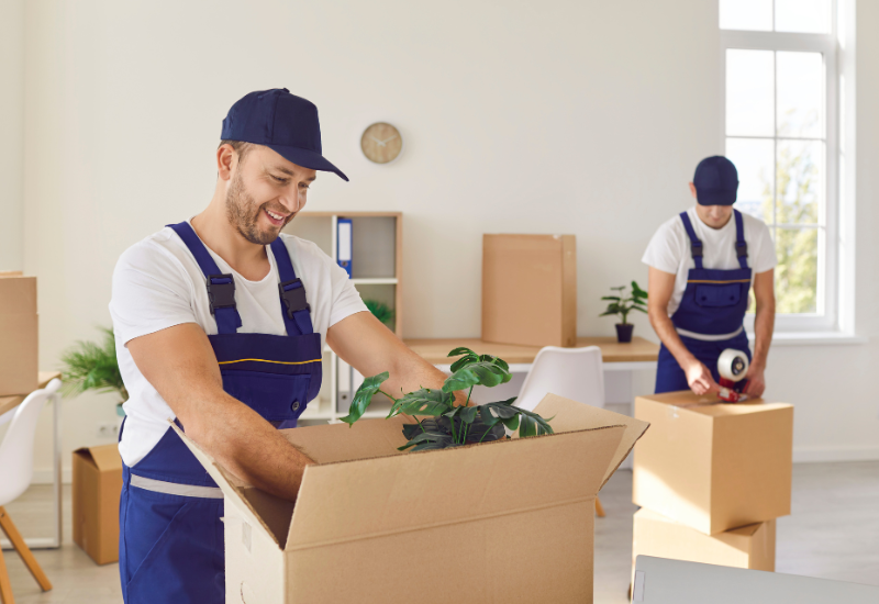 Pro movers