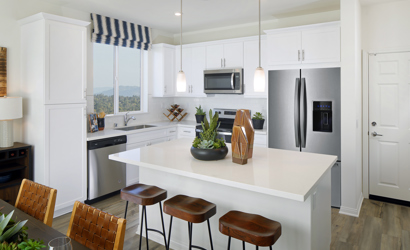 cc-ashlandsprings1-kitchen