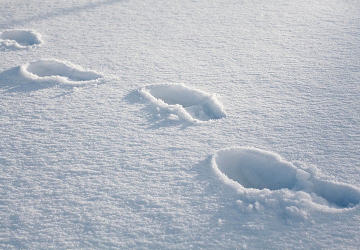 Snow footprints in the Winter.