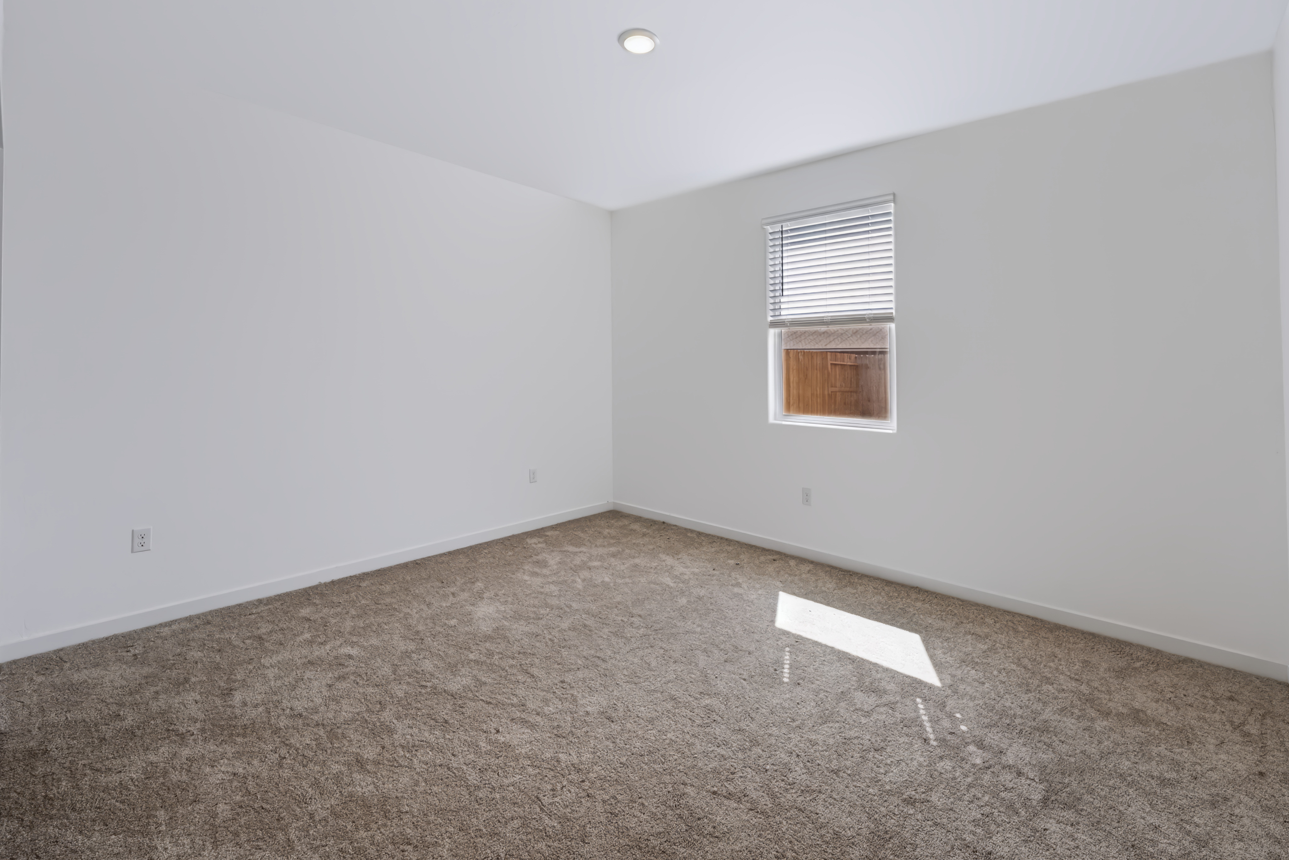 A room with a carpet and a window.