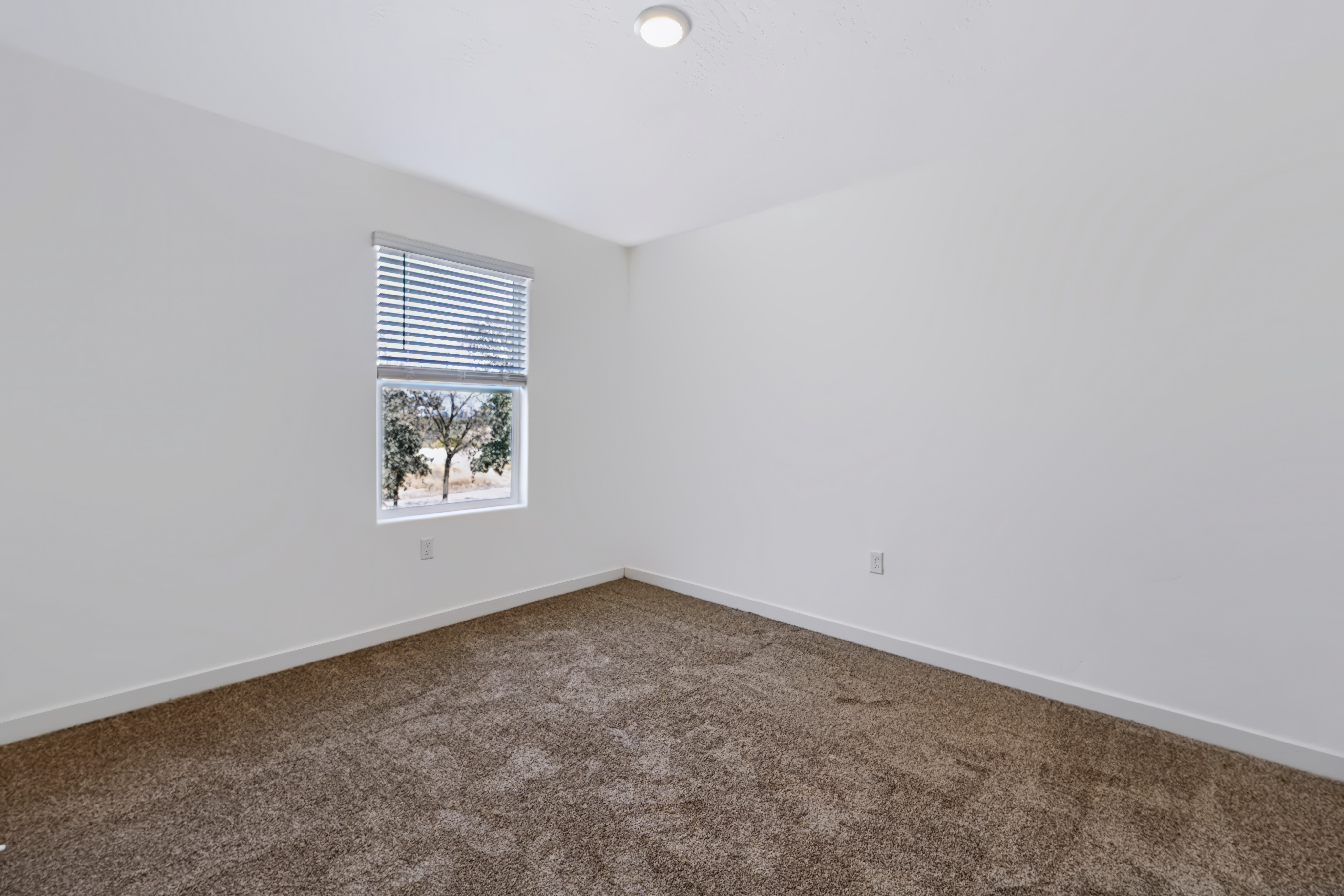 A room with a window and carpet.