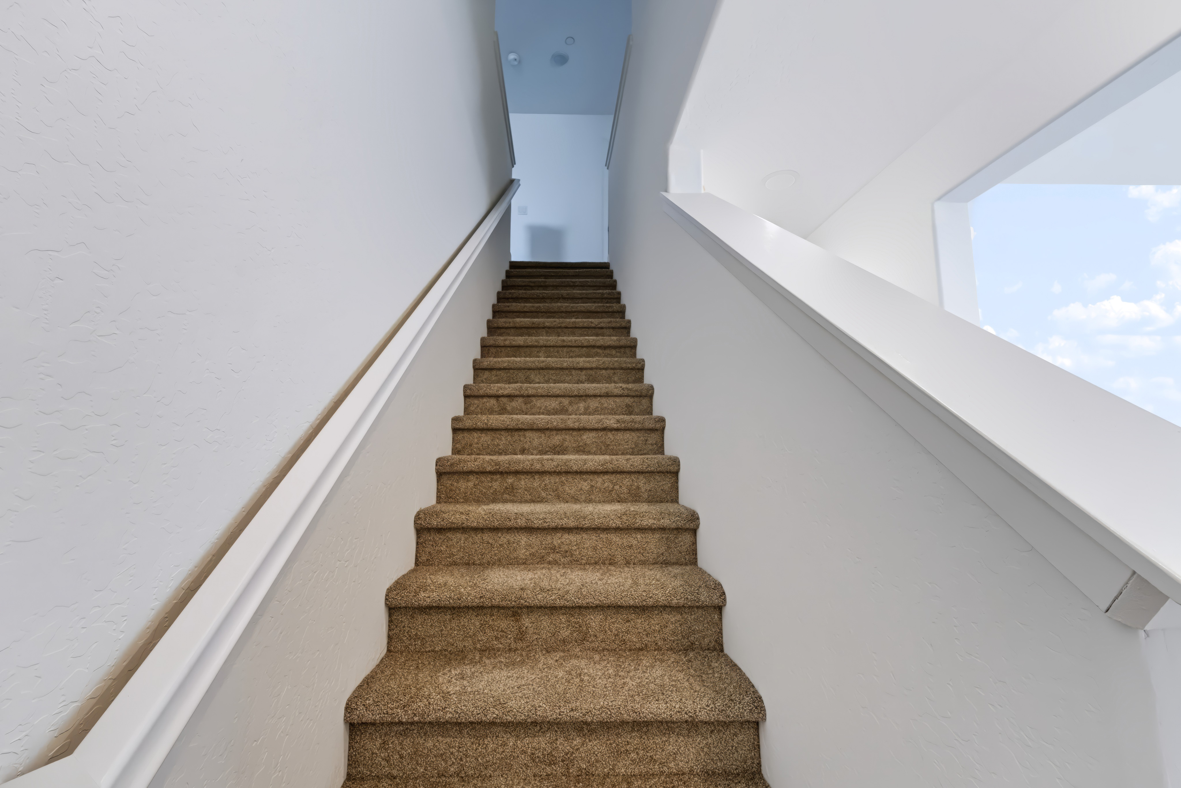 A staircase in a building.