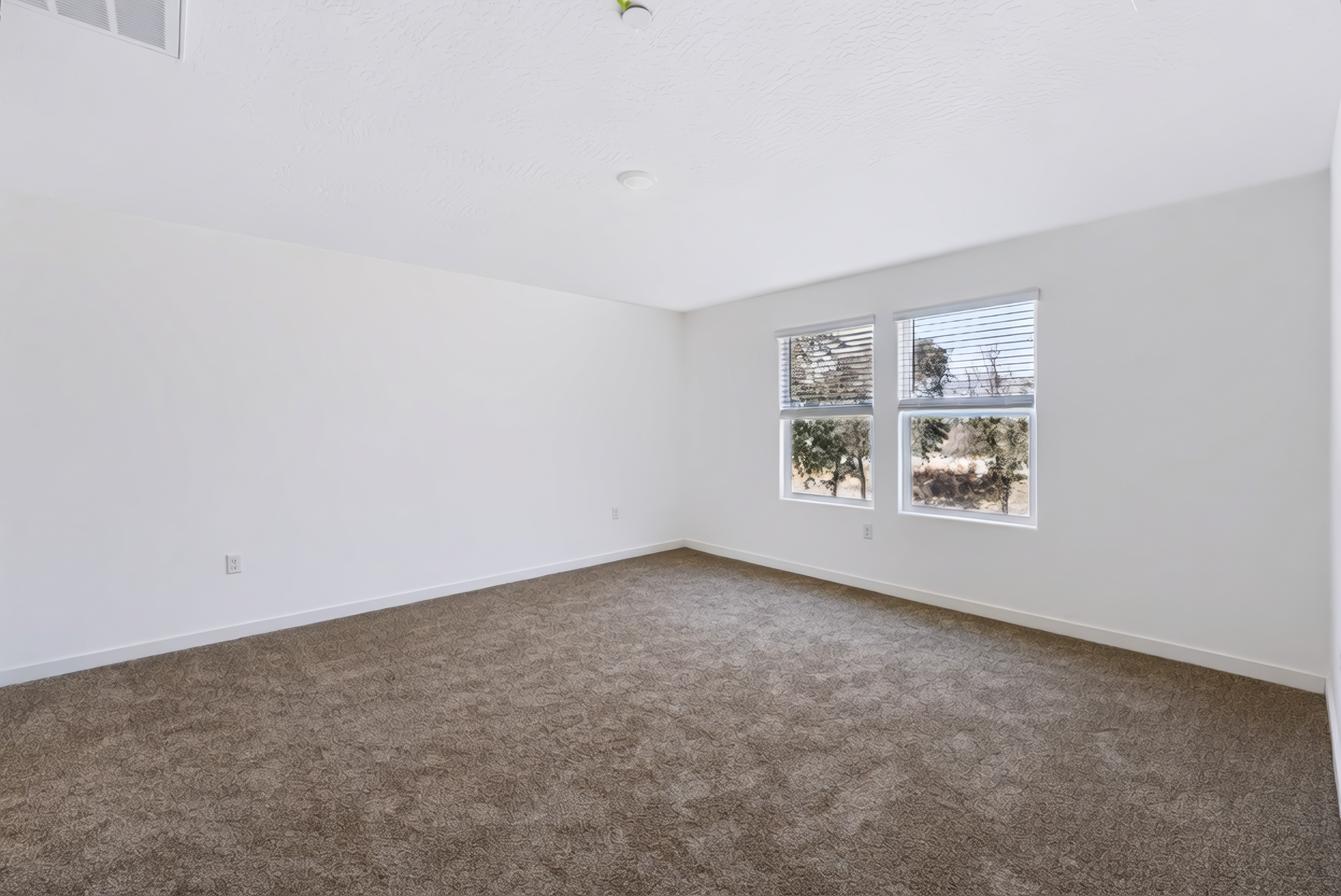 A room with a carpet and windows.