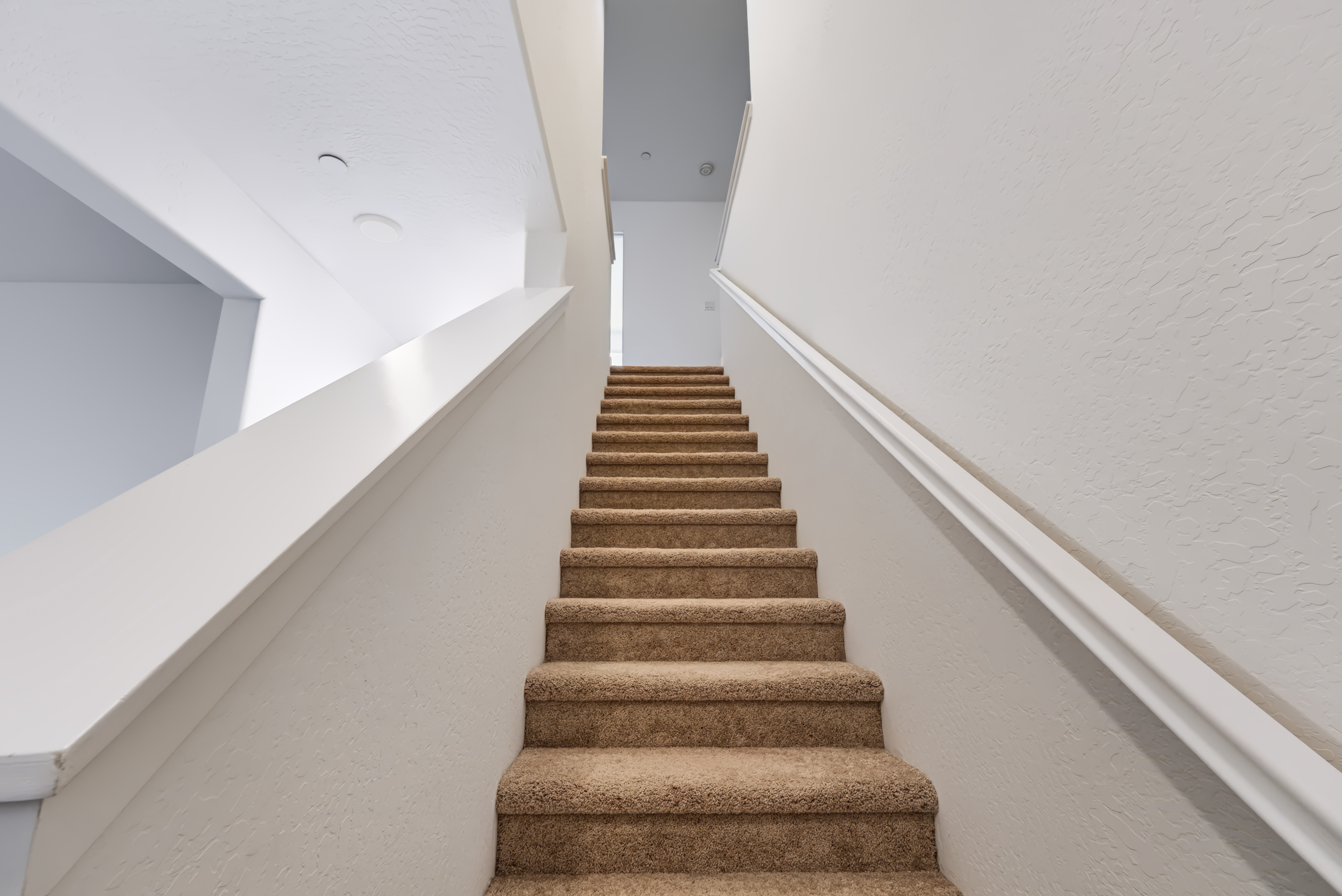 A staircase in a building.