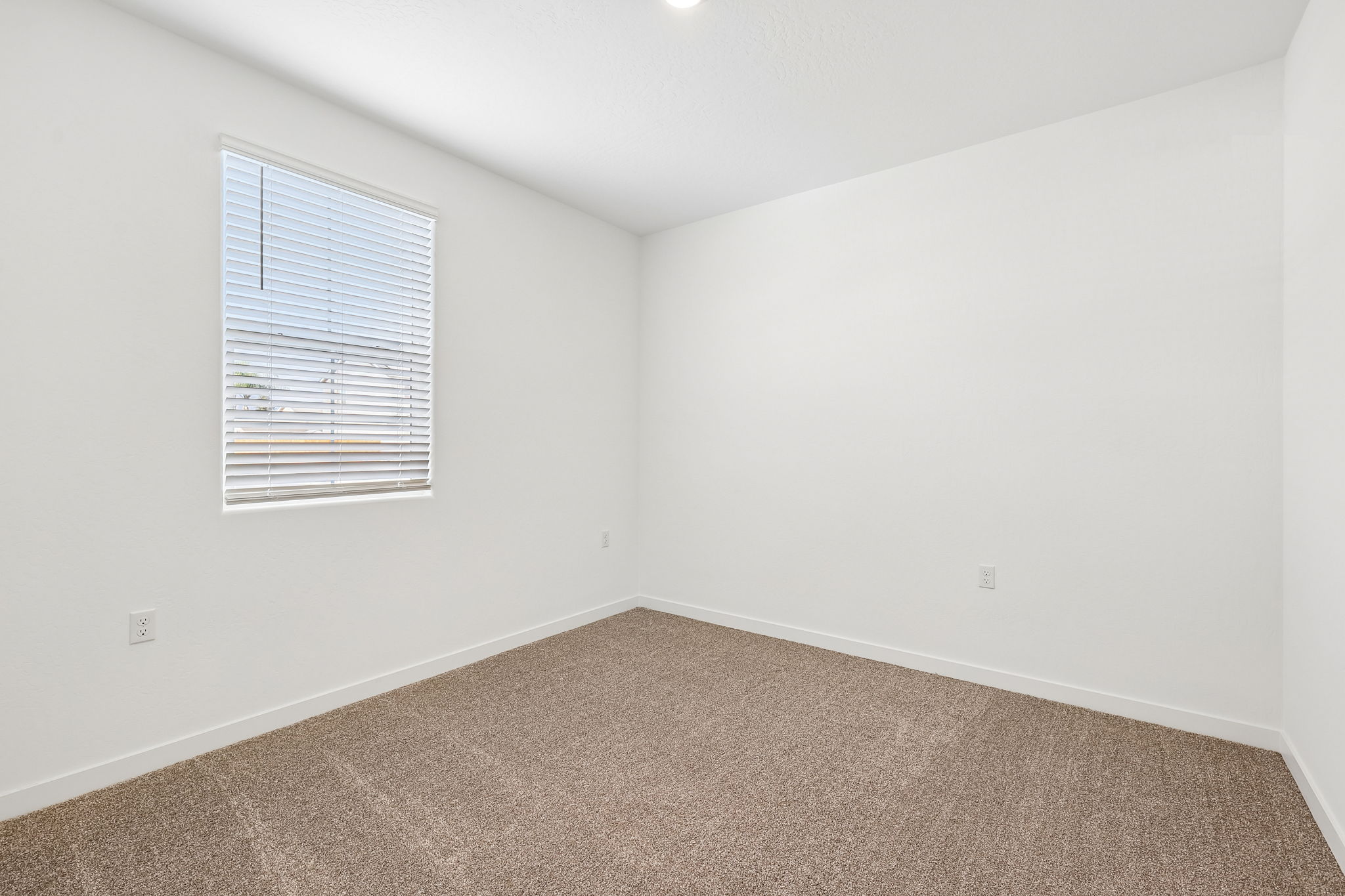 A room with a carpet and a window.