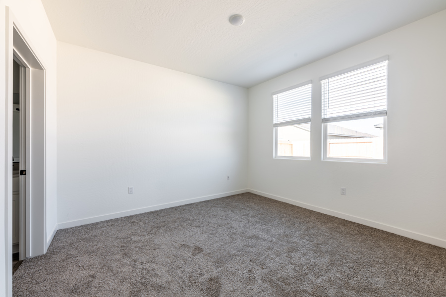 A room with a carpet and windows.