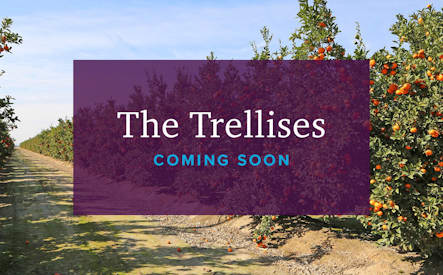 the trellises coming soon