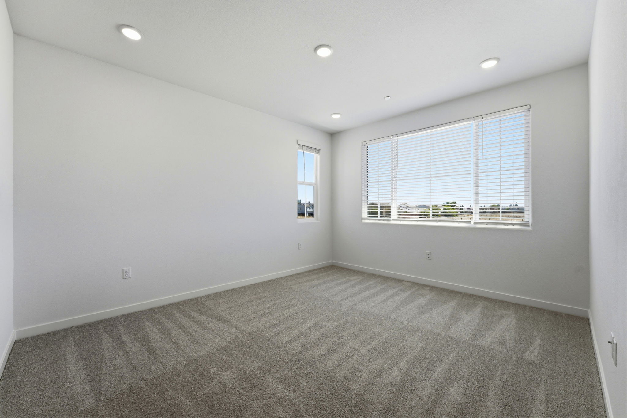 A room with a carpet and windows.