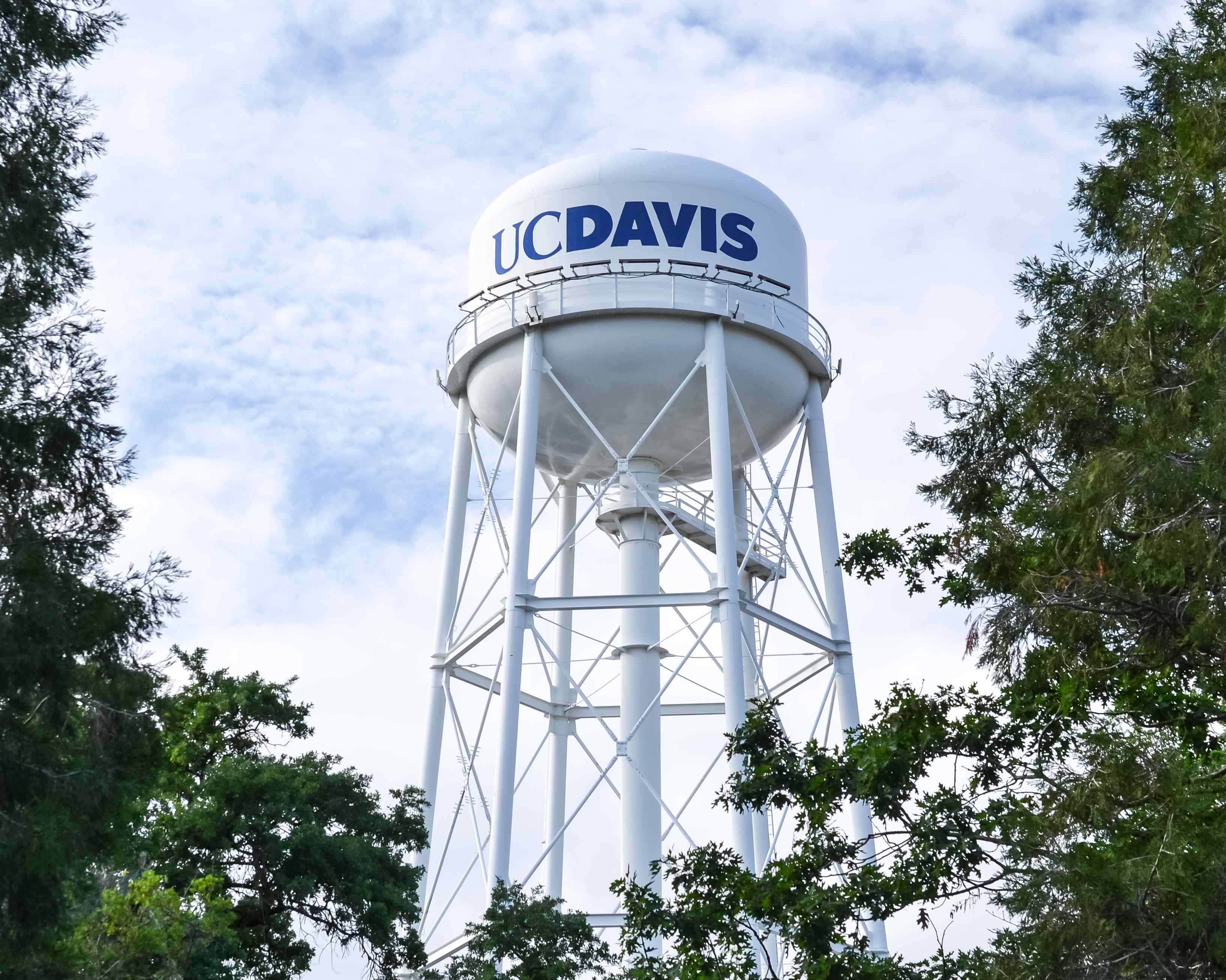 A water tower with trees around it.