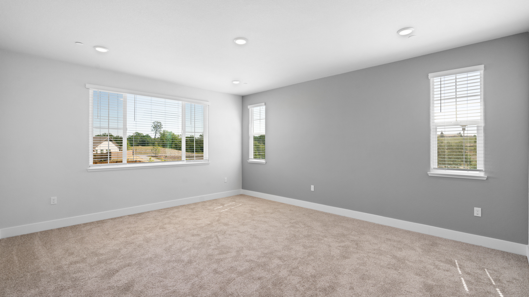 A room with windows and a carpet.