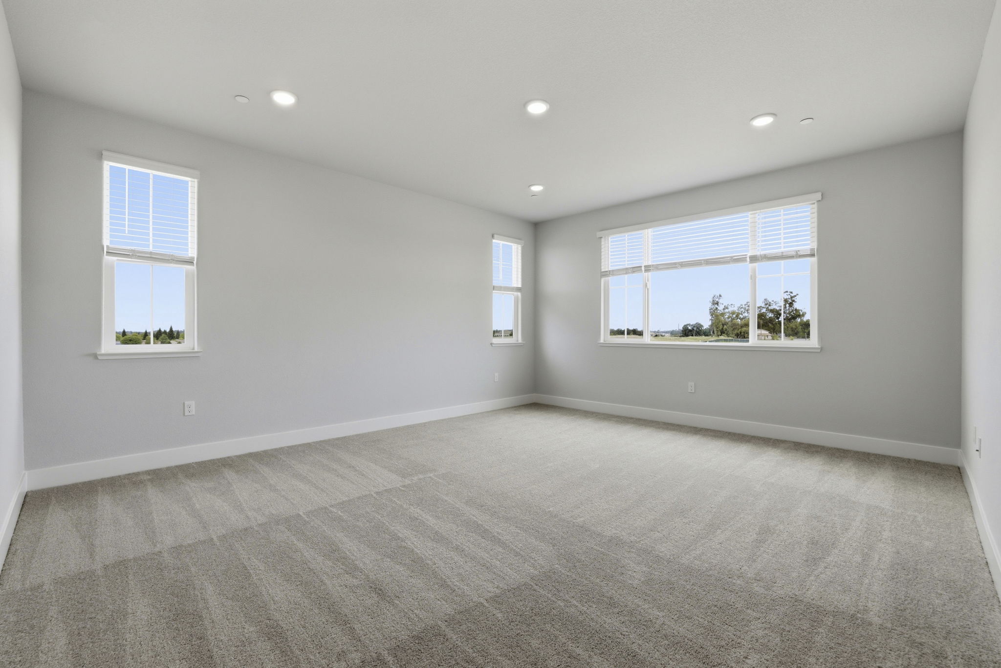 A room with windows and a carpet.