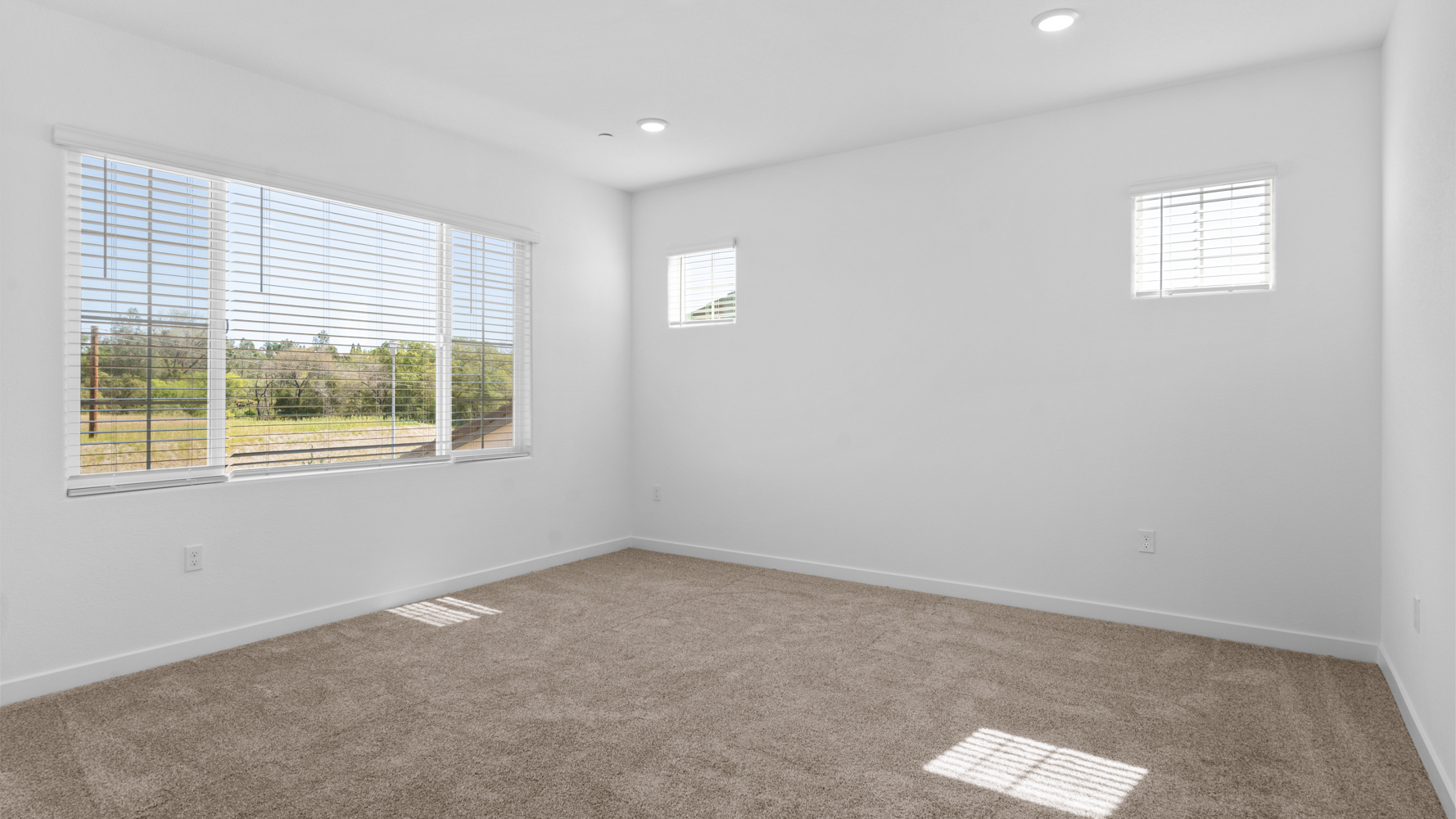 A room with windows and a rug.