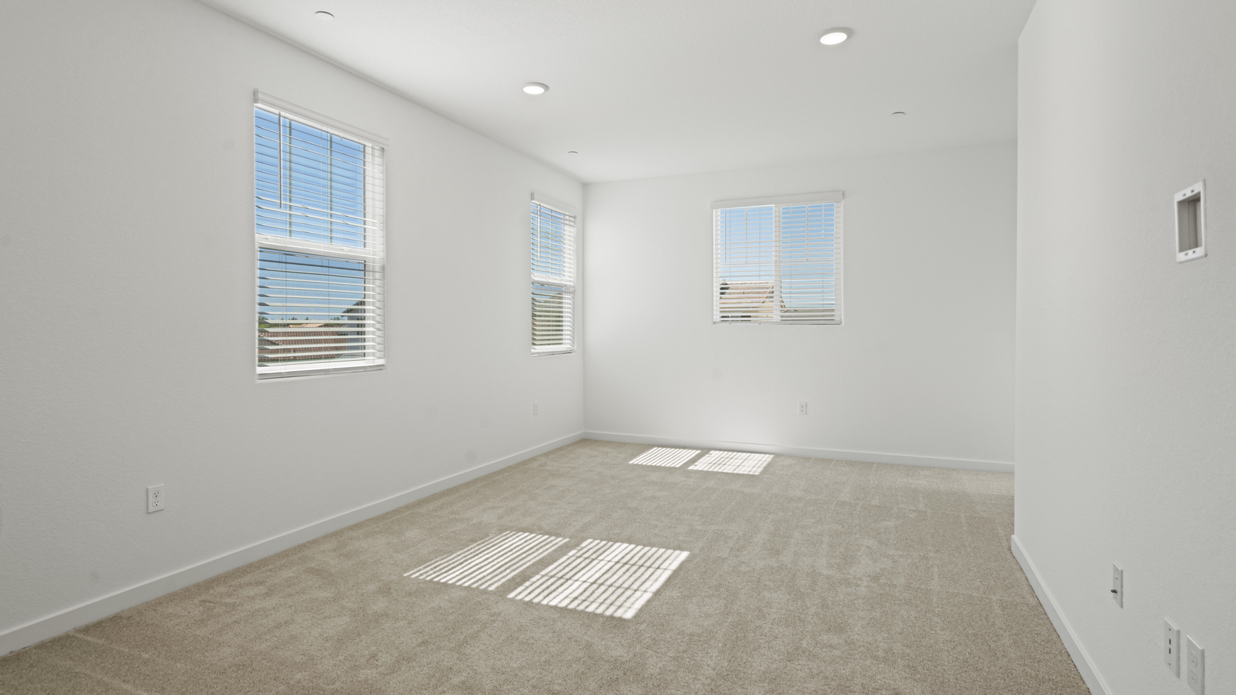 A room with a rug and windows.