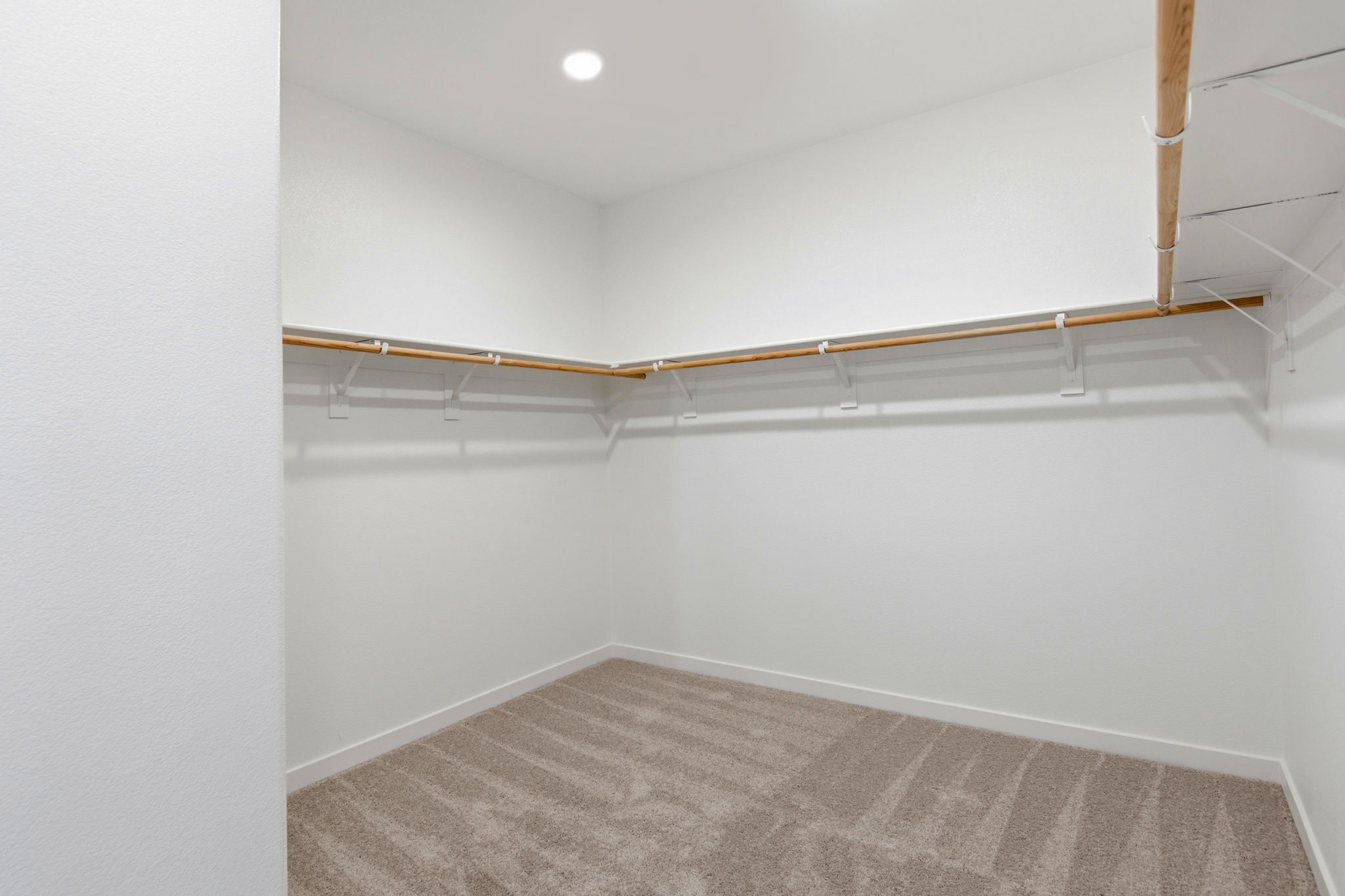 A room with a carpet and a rug.