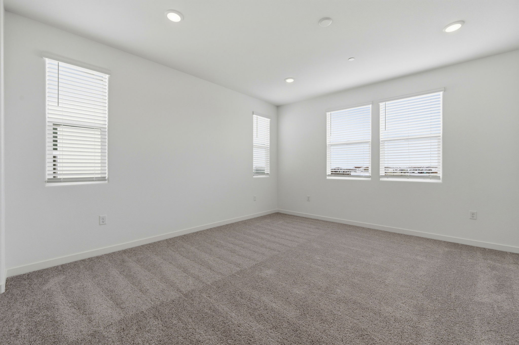 A room with a carpet and windows.