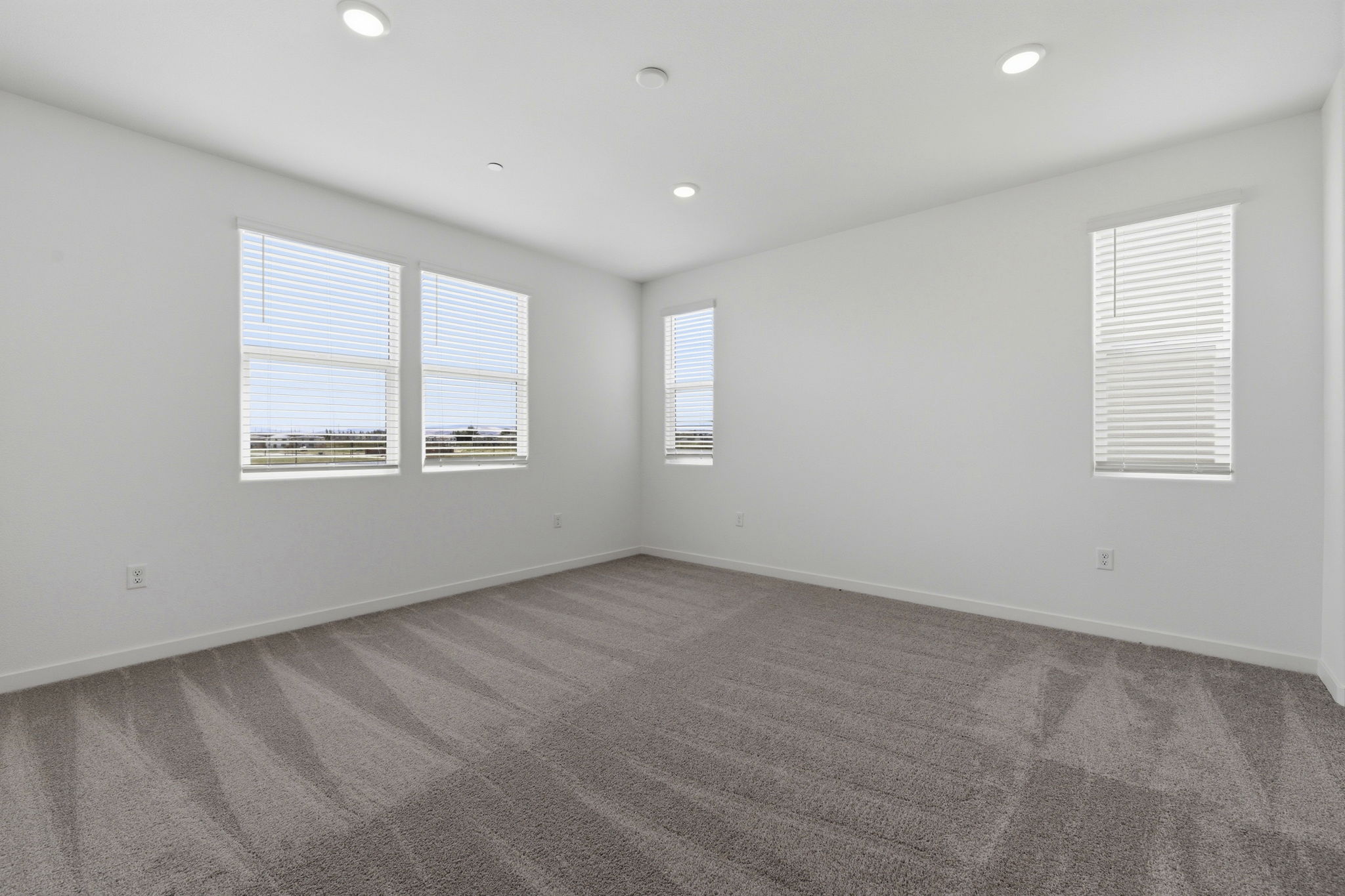 A room with a carpet and windows.