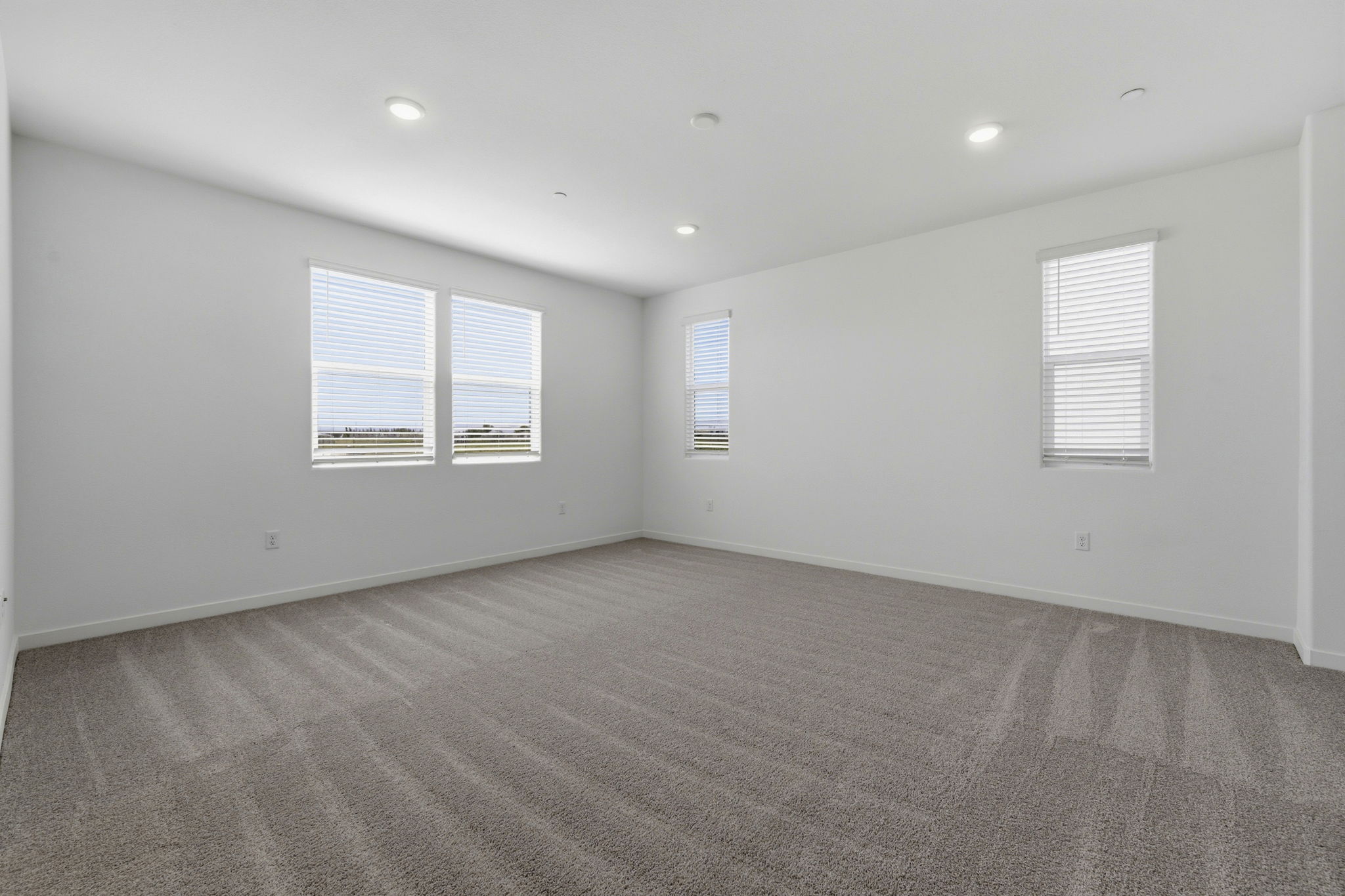 A room with a carpet and windows.