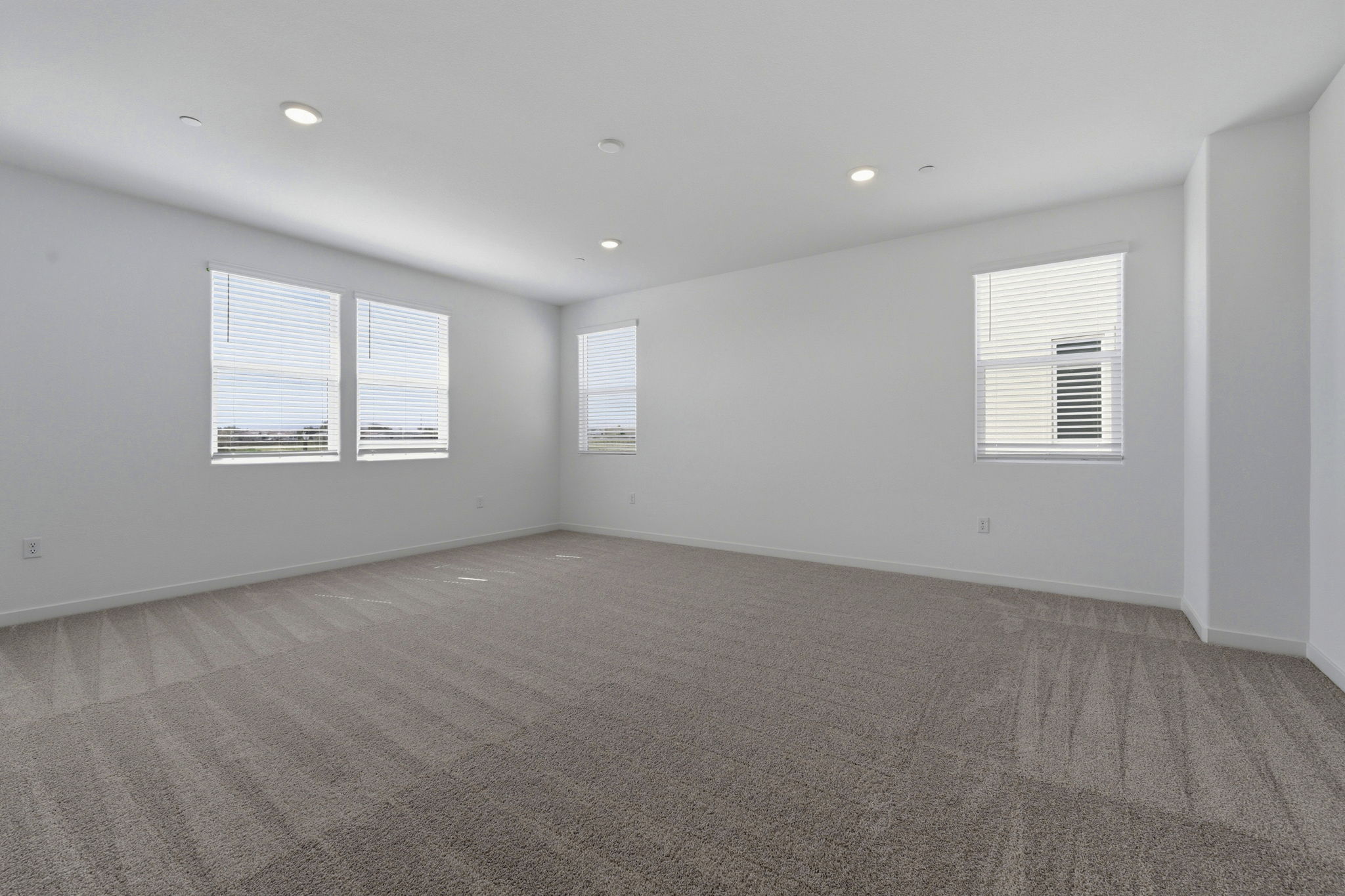 A room with a carpet and windows.