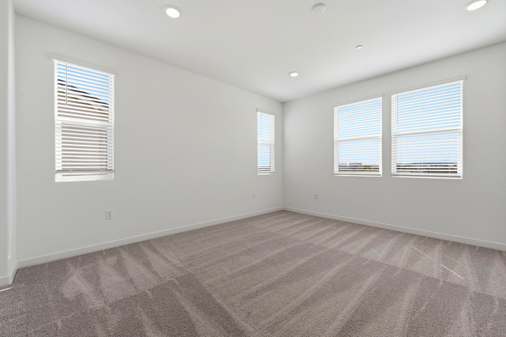 A room with a carpet and windows.