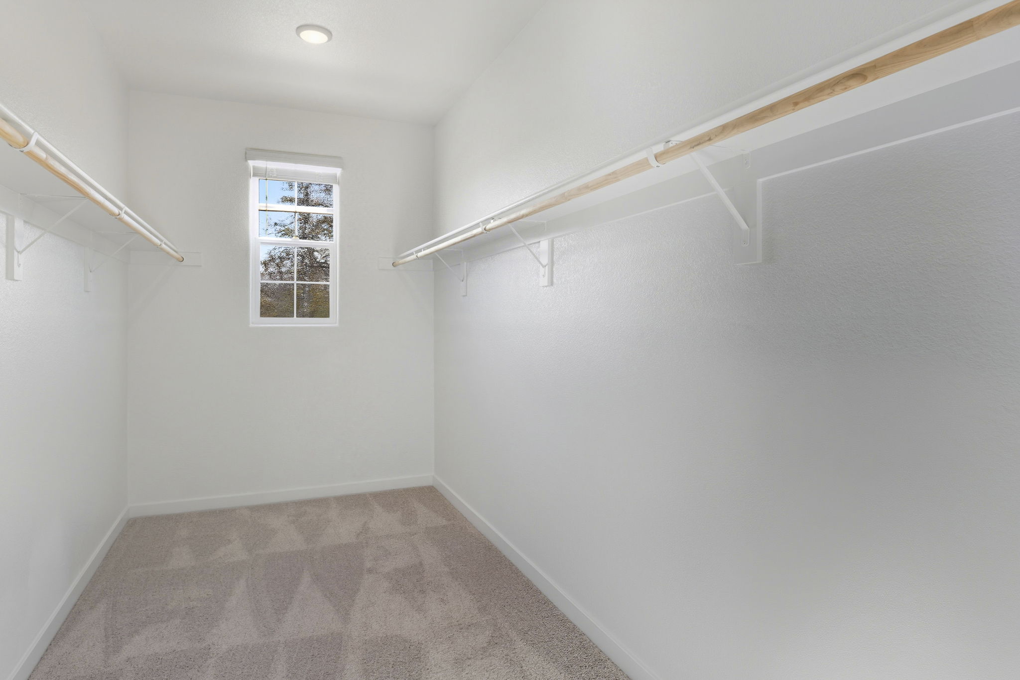 A room with a window and a rug.