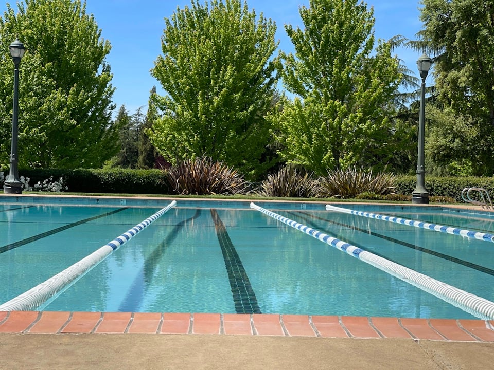 A swimming pool with trees around it.
