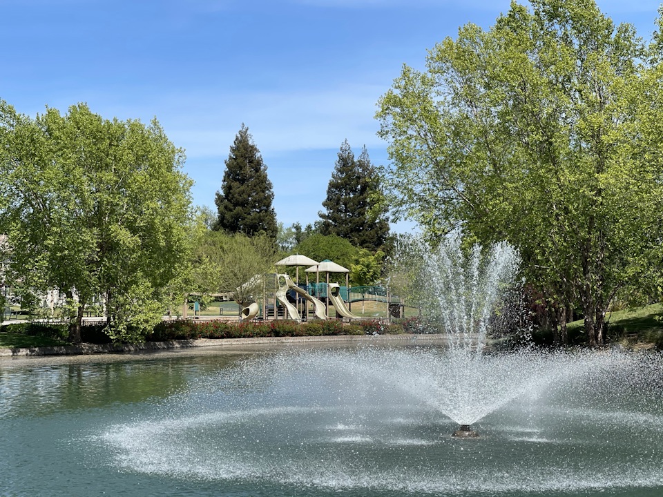 A fountain in a pond.