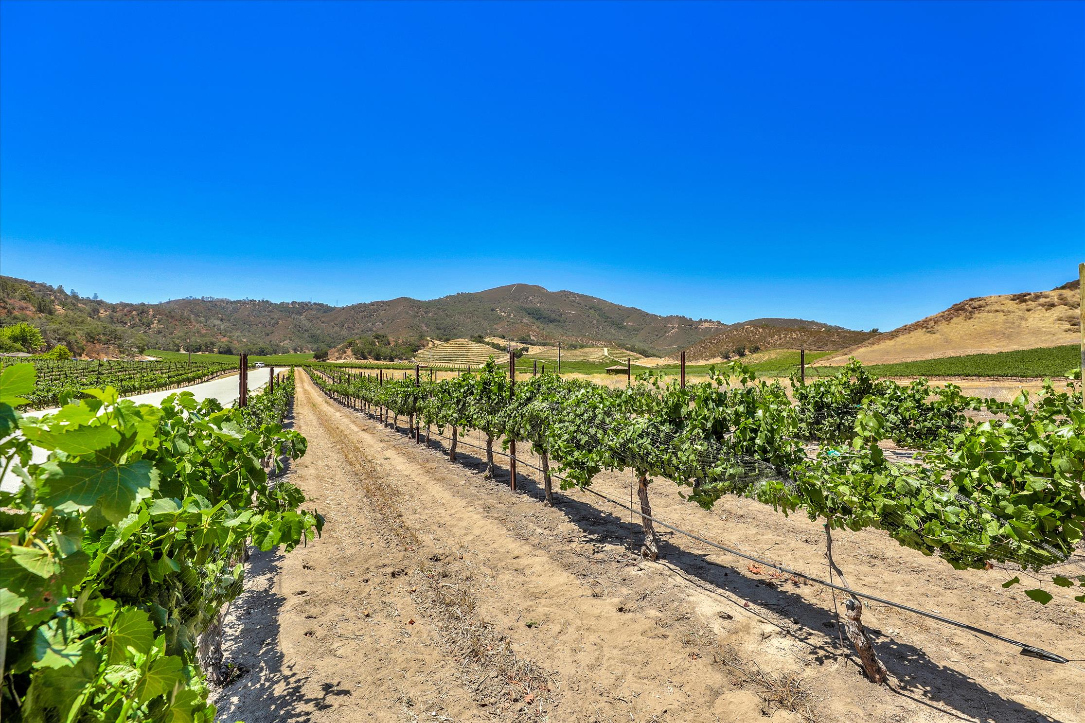 Promontory at Ridgemark New Homes for Sale In Hollister CA