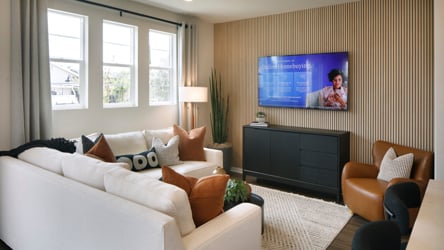 A living room with a tv and couches.