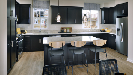 A kitchen with black cabinets.