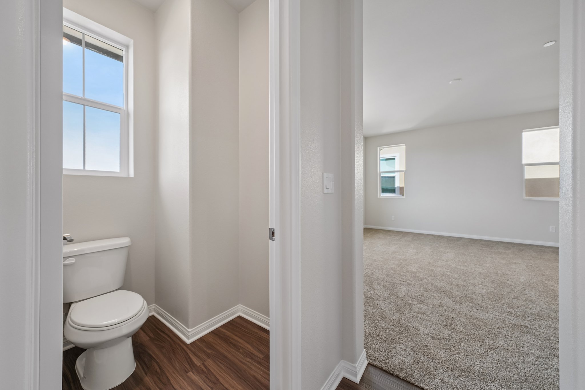 A bathroom with a toilet and a rug.