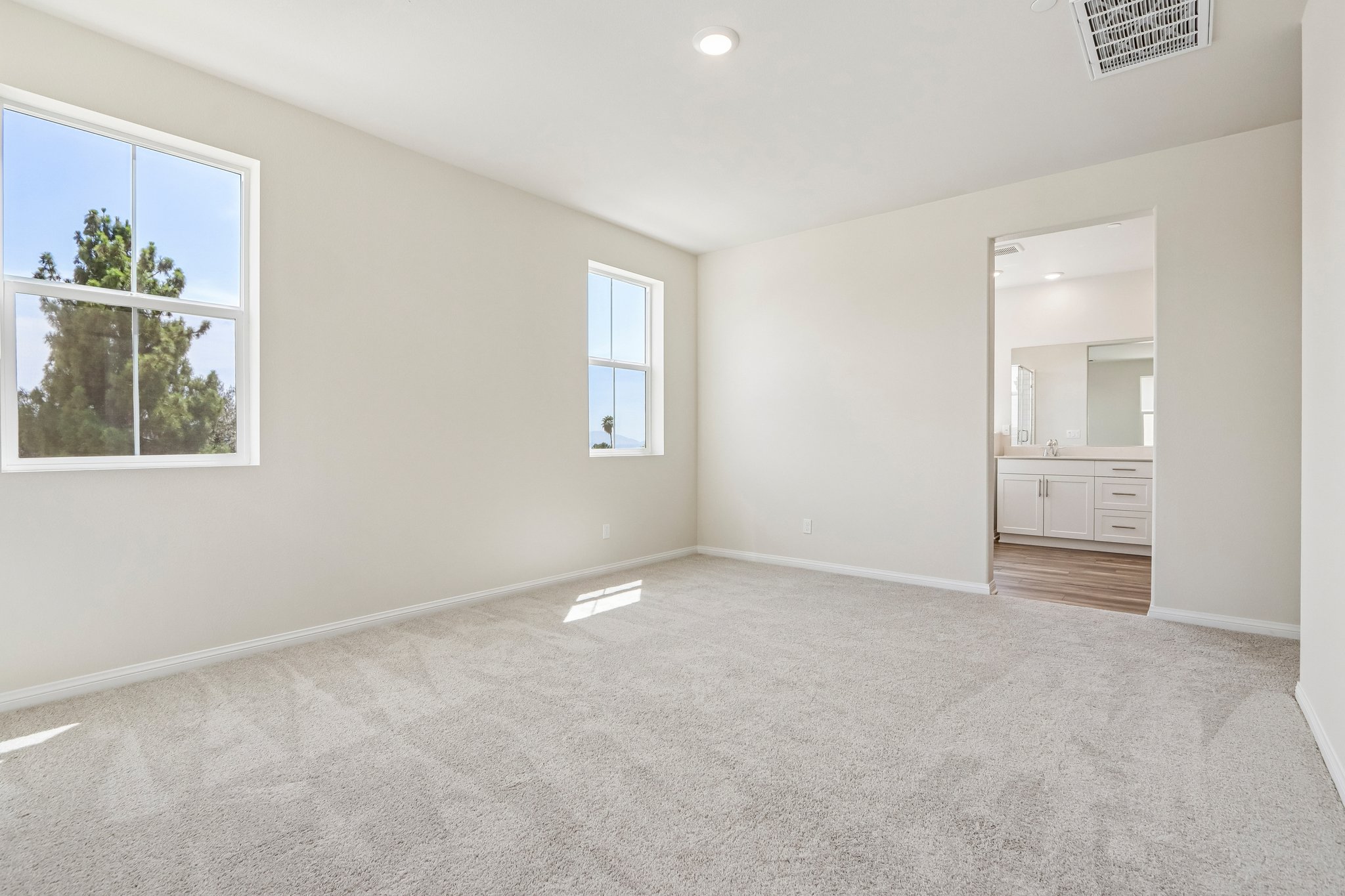 A room with a carpet and windows.